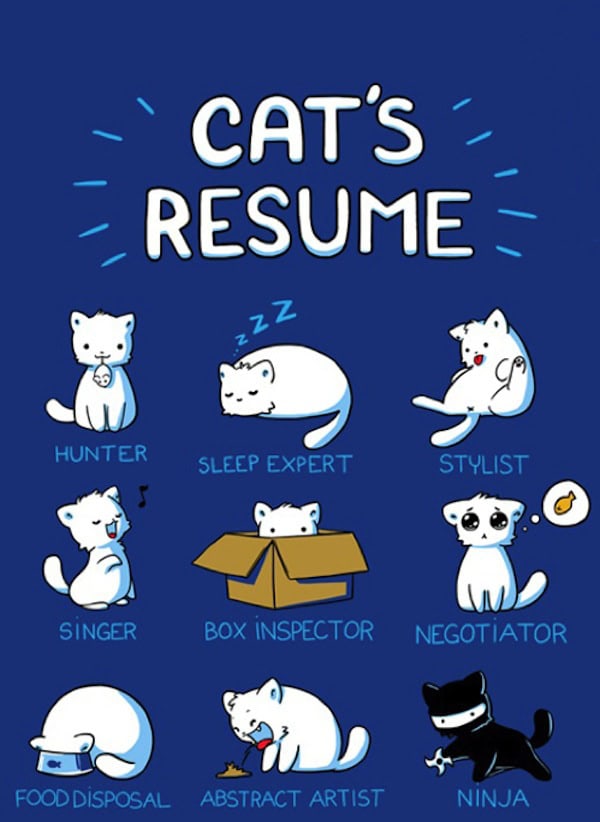 catresume