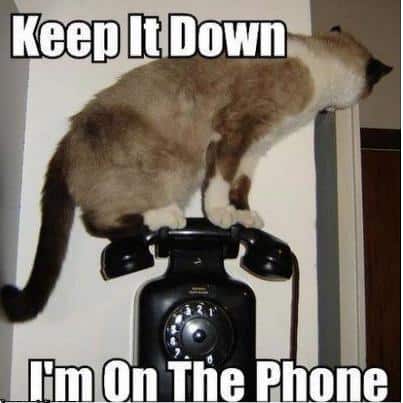 LOL Animals (6)