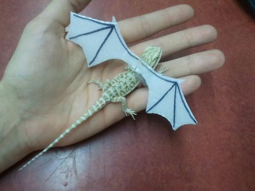Funny Pic Dump (12)