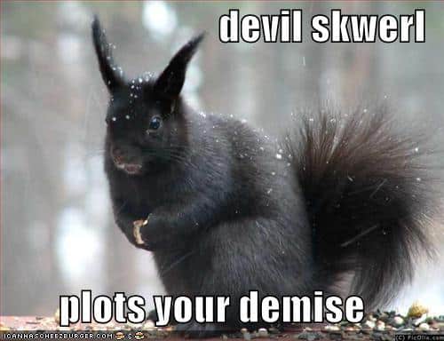 LOL Animals (7)