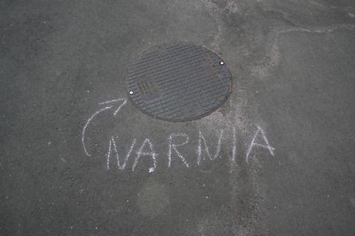 Funny Pic Dump (5)