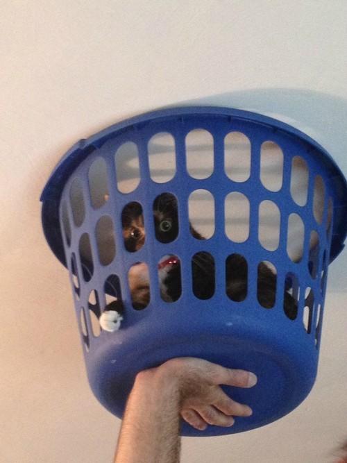 Funny Pic Dump (9)
