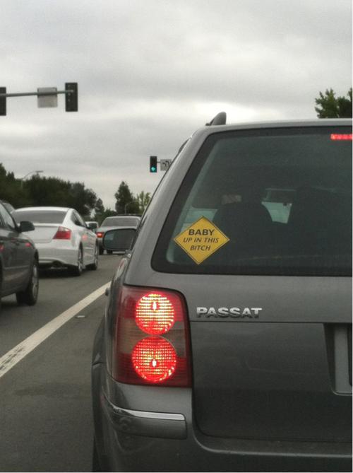 Funny Pic Dump (10)