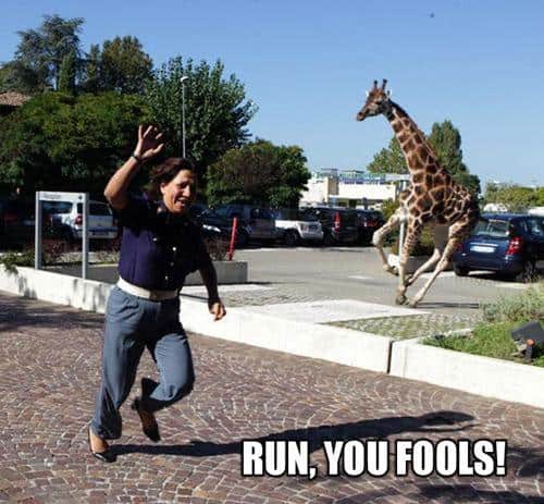 Funny Pic Dump (15)