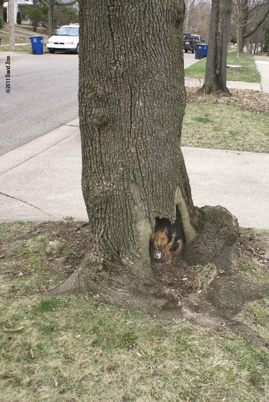suburban-hello-by-david-zinn
