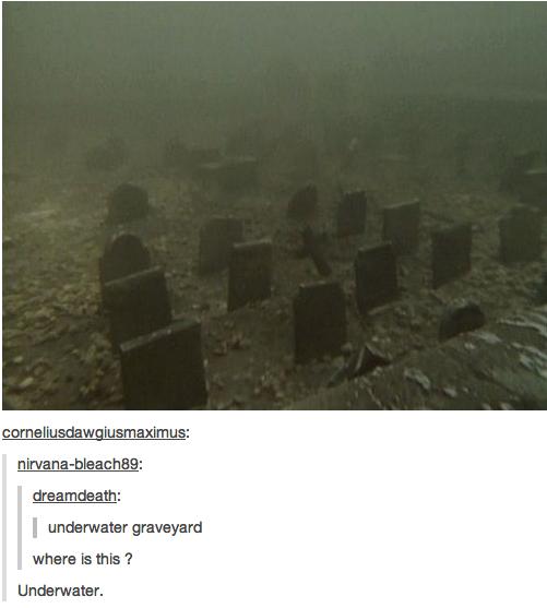 Funny Pic Dump (15)