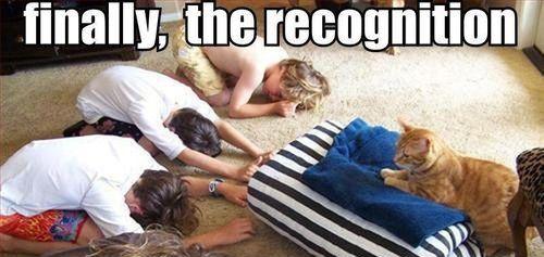 Funny Pic Dump (19)