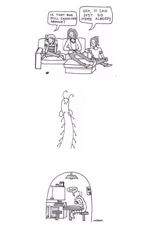 Funny Pic Dump (17)