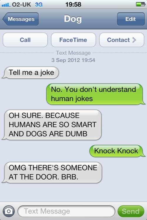 Funny Pic Dump (20)