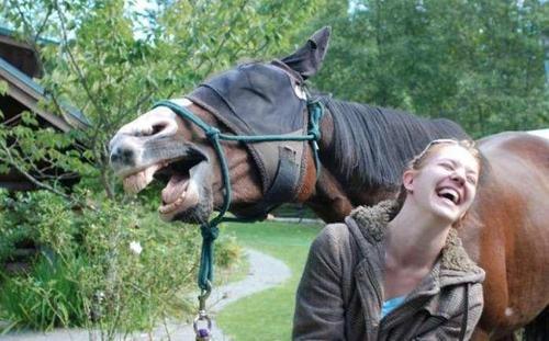 Funny Pic Dump (20)