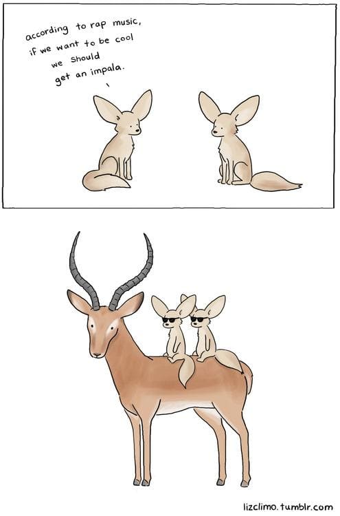 Funny Pic Dump (16)
