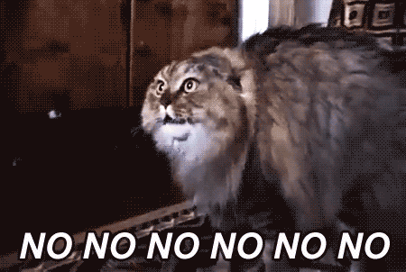 when-someone-turns-on-the-light-while-youre-sleeping.gif