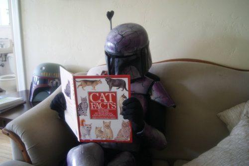 Funny Pic Dump (1)