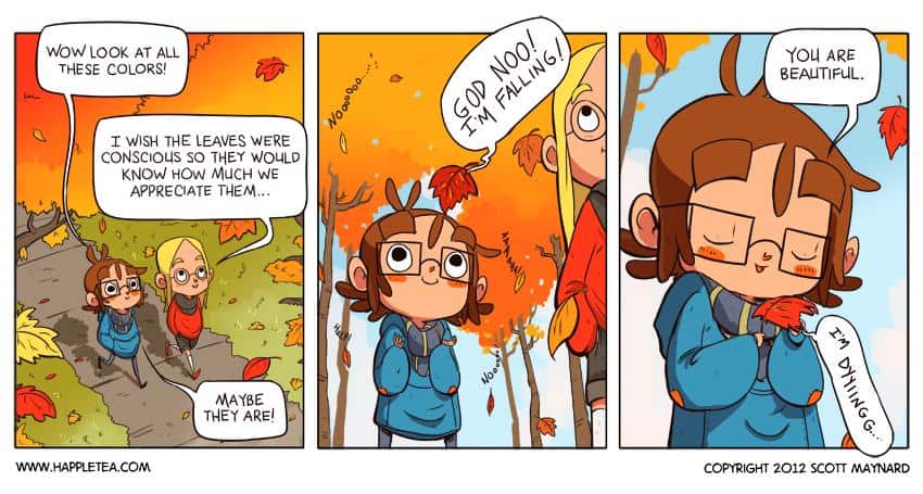 Funny Pic Dump (3)