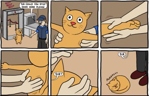 Funny Pic Dump (4)
