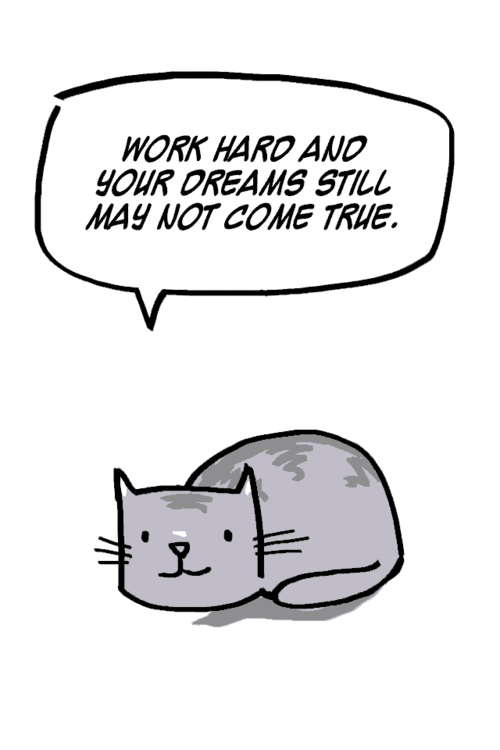 Hard Truths From Soft Cats (11)