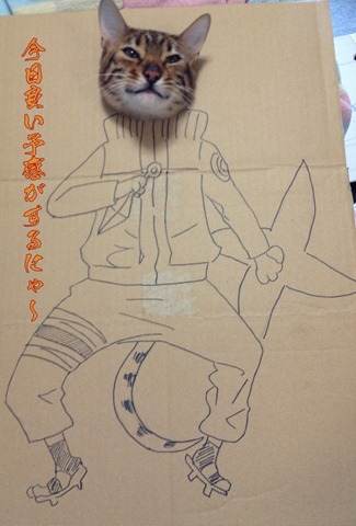 Box Costumes for Cats (8)