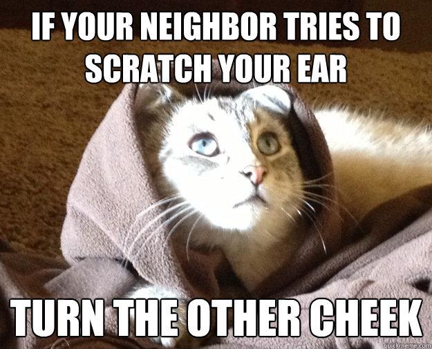 Getting Cat To Restart Eating Getting Cat To Restart Eating