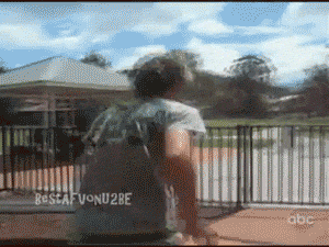 51.gif