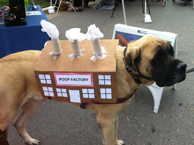 Funny Pic Dump (15)