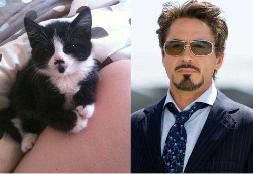 Funny Pic Dump (5)