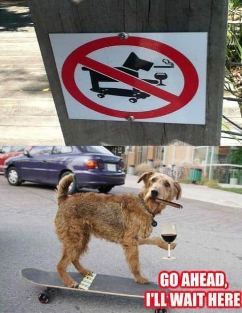 Funny Pic Dump (6)