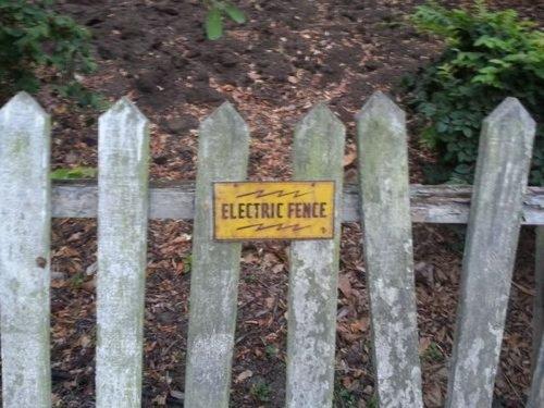 Funny Pic Dump (9)