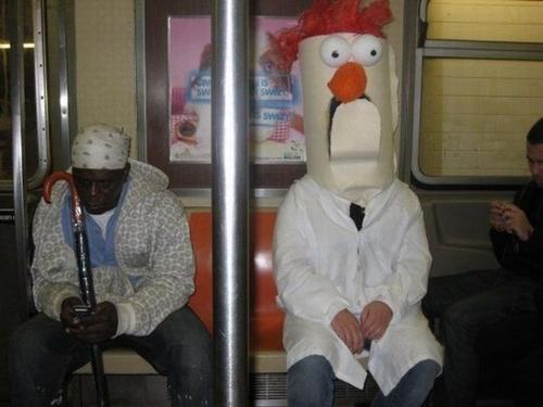 Funny Pic Dump (10)