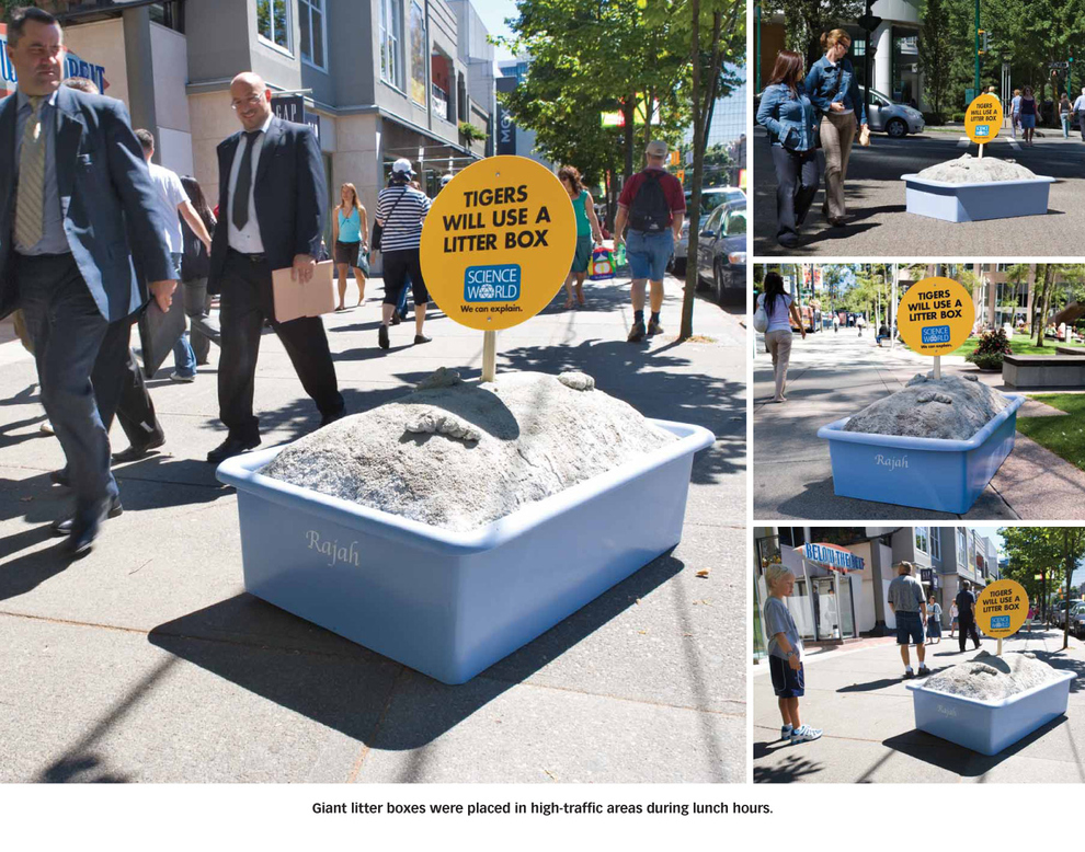 Clever Science World Advertisements (6)