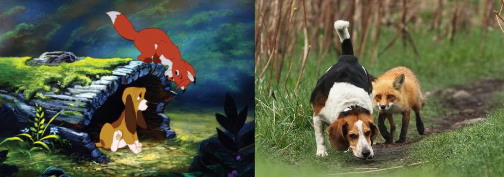 Disney Characters in Real Life (6)