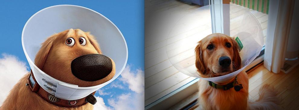 Disney Characters in Real Life (10)