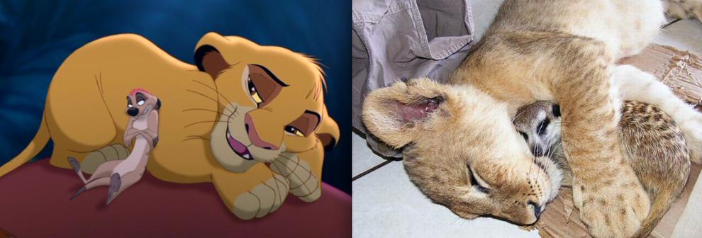 Disney Characters in Real Life (13)