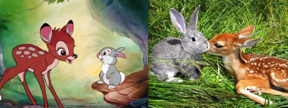 Disney Characters in Real Life (15)