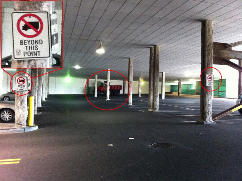First-World Anarchists (9)
