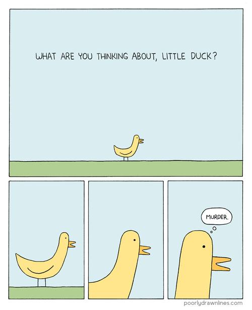 little-duck.jpg