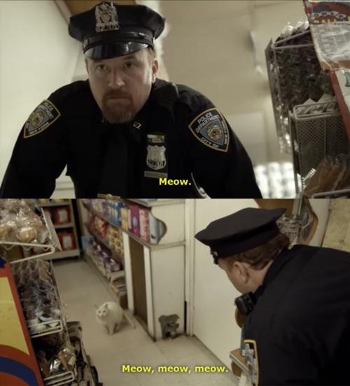 Funny Screencaps (14)