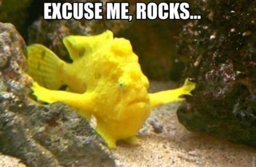 Funny Pic Dump (11)