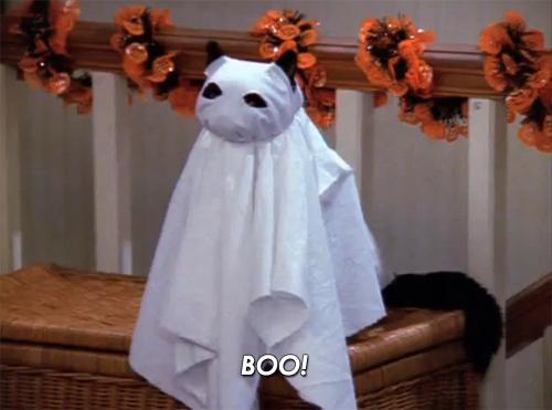 Funny Screencaps (1)