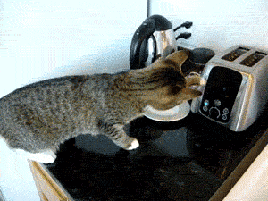 http://www.pleated-jeans.com/wp-content/uploads/2012/10/tumblr_m7ds2gUpG61rq0hnm.gif