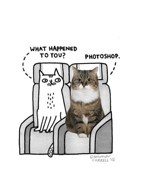 Funny Pic Dump (17)