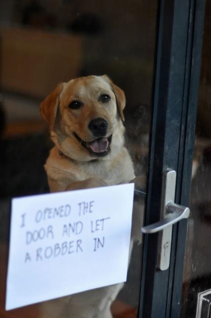 Funny Pic Dump (1)