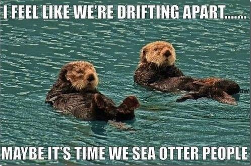 Funny Pic Dump (3)