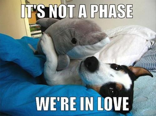 Funny Pic Dump (6)