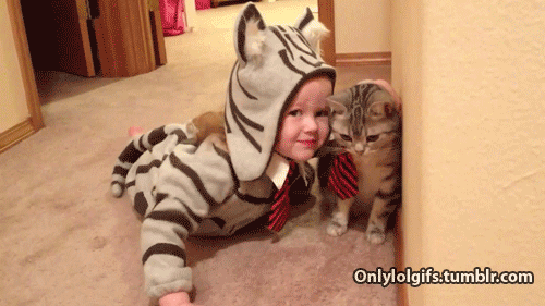 Awesome Animated GIFs (12)