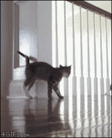 Awesome Animated GIFs (13)