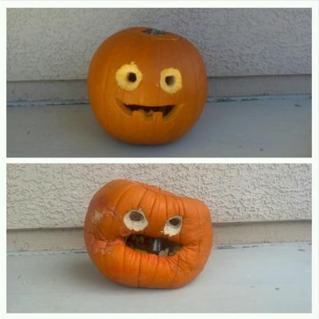 Funny Pic Dump (4)