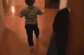 Bfa2L.gif