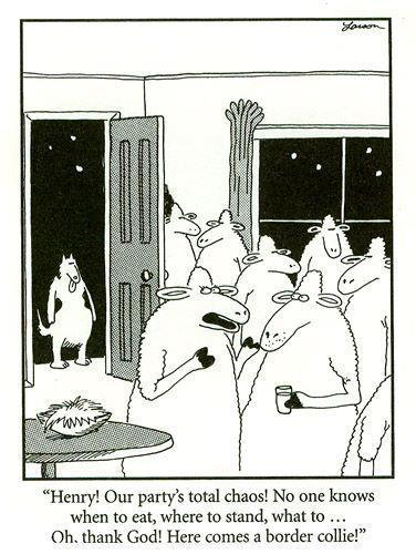 Funny Pic Dump (5)