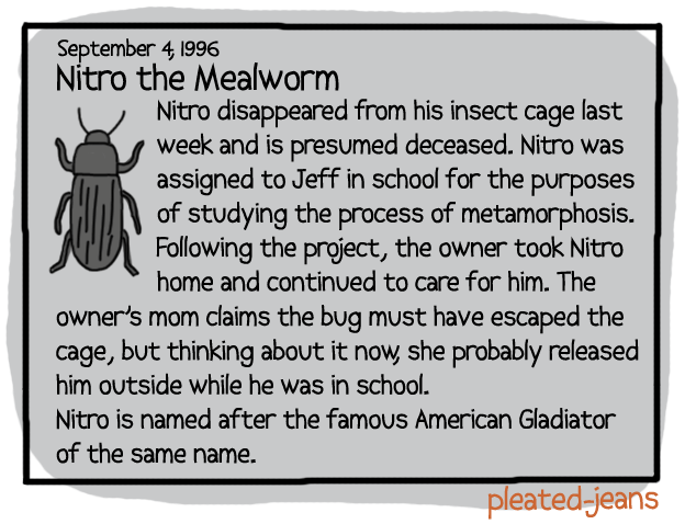Obituaries-for-My-Stuff8