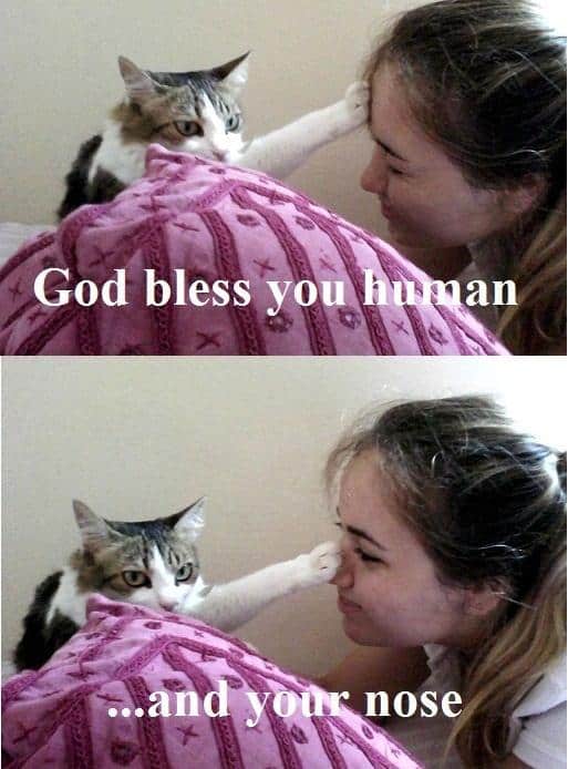 LOL Animals (16)